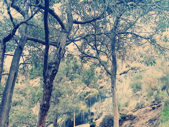 Skycrapers from afar!😎#minihikingLesmurdie🤓