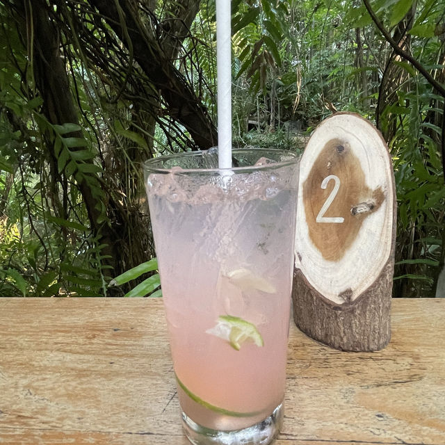 Little tree garden คาเฟ่ที่ต้นไม้โอบรับผู้มาเยือน