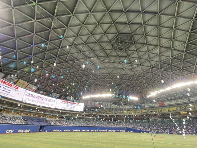 【愛知】雨の日でも安心のドーム球場！