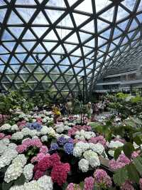 Miracle of Natural ฟาร์มดอกไม้เมืองหนาว ระยอง