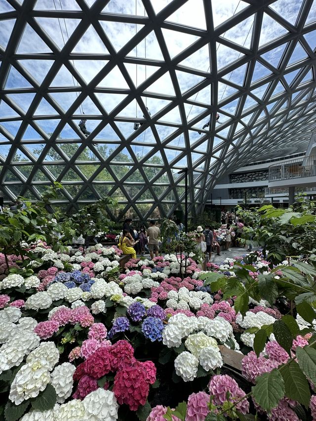 Miracle of Natural ฟาร์มดอกไม้เมืองหนาว ระยอง