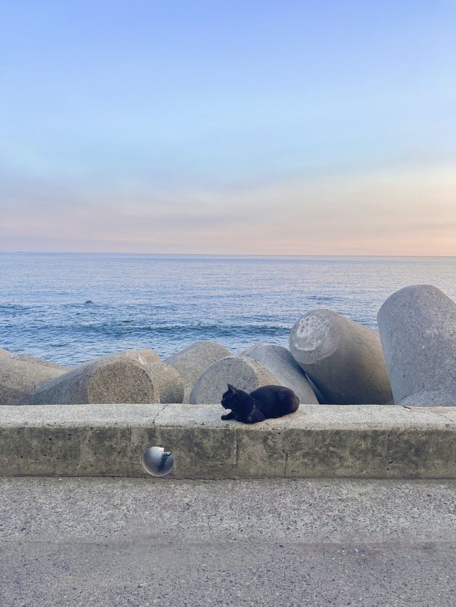 🌊부산, 낭만 가득한 포차 감성 오션뷰 조개구이 맛집
