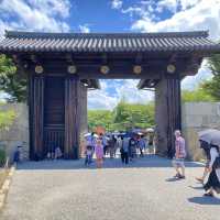 兵庫県！国宝姫路城