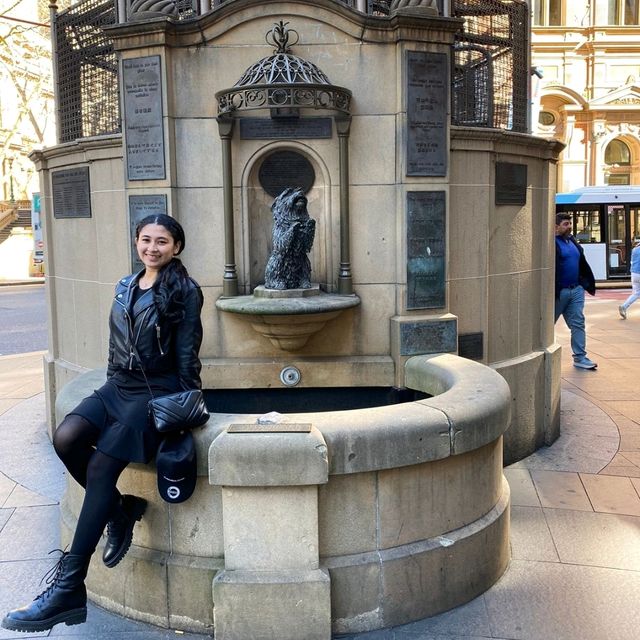 A dream came true in NSW, Australia❤️😍