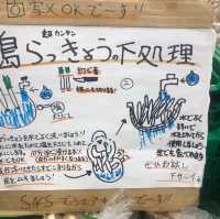 シーサーだらけ