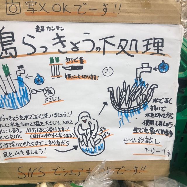 シーサーだらけ