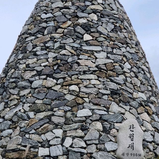 가을의 시작 억새보러가자
