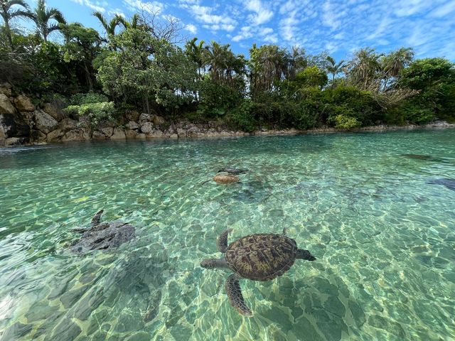 宮古島を満喫できるリゾート🏝️