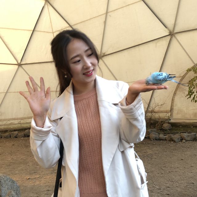 제주도에서 가볼만한 동물원? 화조원!