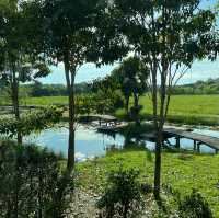 Fourbuta Cafe คาเฟ่วิวสวนสวย สายน้ำ และทุ่งนา