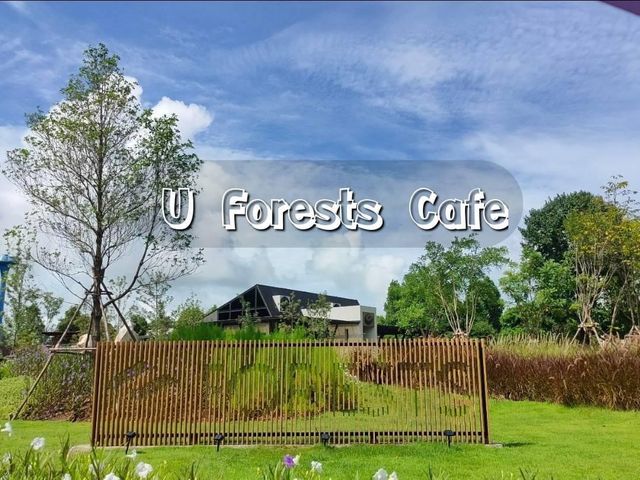 ร้านกาแฟชื่อดัง " U Forests Cafe 🍵☕️