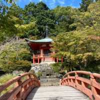  🎌禪意浸潤的日式寺院🎌 醍醐寺🎌