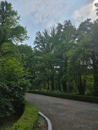 피톤치드 가득한 포천 국립수목원🌳