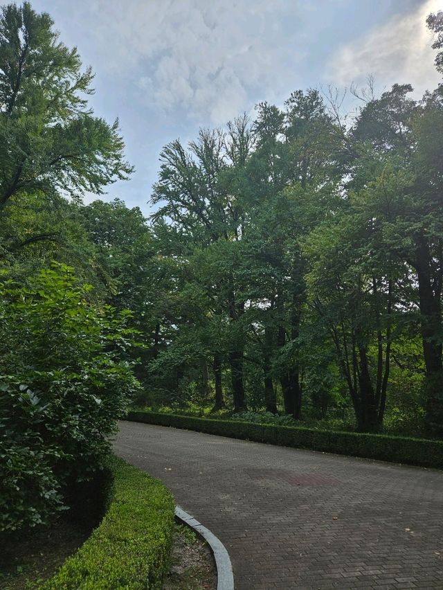 피톤치드 가득한 포천 국립수목원🌳