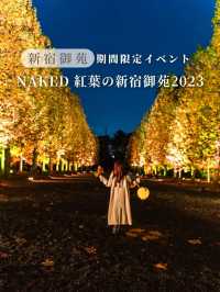 【東京都/新宿】12日間限定の夜を彩る新宿御苑