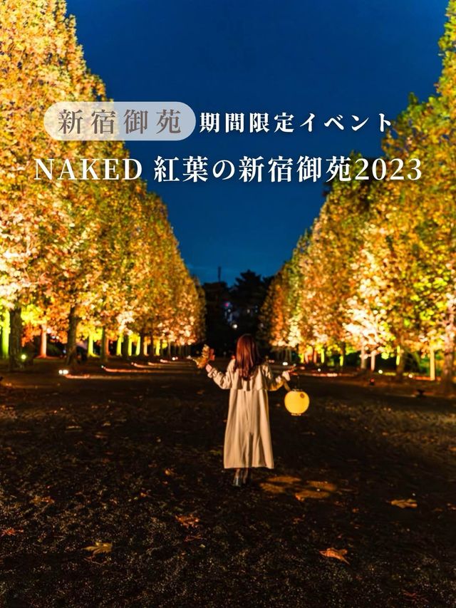【東京都/新宿】12日間限定の夜を彩る新宿御苑