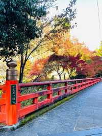 【京都府/一の鳥居・梶取社】貴船神社だけじゃない！