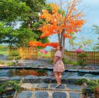 คาเฟ่เปิดใหม่สไตล์ญี่ปุ่น Tomi Edo Park กาญจนบุรี