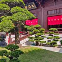珍石展覽！大雄殿，觀音殿，藥師佛殿環立！氣象千字萬宙！