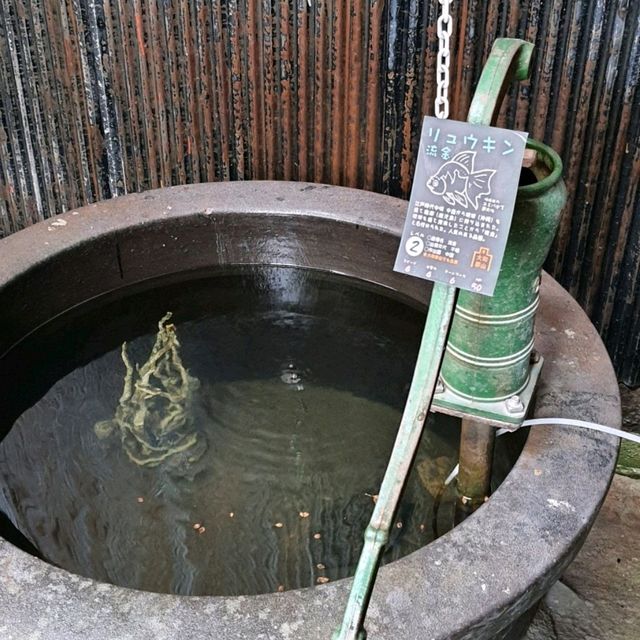 奈良隱藏景點，郡山金魚之都