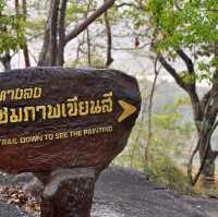 ชมพระอาทิตย์ตกที่ ...ผาแต้ม
