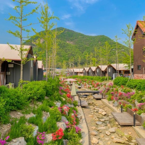 낮에도 밤에도 예쁜 공주 글램핑장 