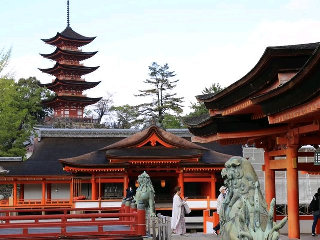 Miyajima and deers of God