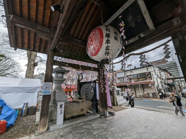 Embracing Serenity at Sakurayama Shrine