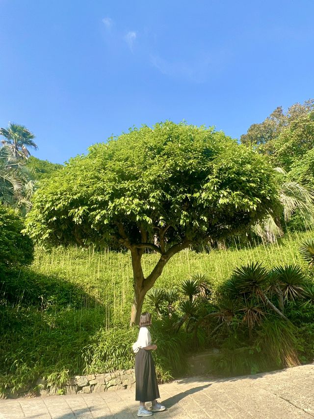 오션뷰를 제대로 즐길 수 있는! 바다 한 가운데에 있는 커다란 식물공원을 소개합니다🤭