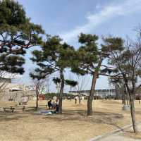 대전 피크닉 명소, 대전엑스포시민광장(남문광장) 주차장 등