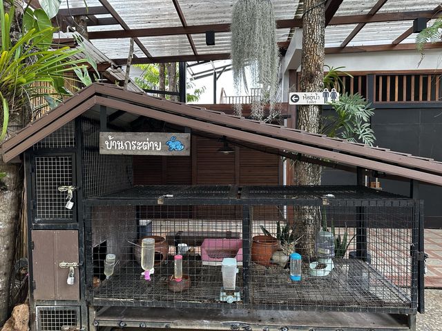 U TERRACE RIVERKWAI CAFE & CUISINE 