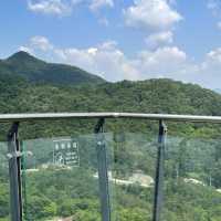 단양 여름여행 모음🌿💚