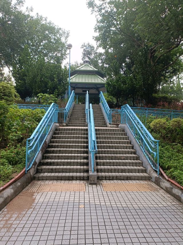 與你同行【卑路乍灣公園】,心靈來得平静,安穩!