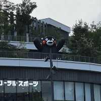 Kumamoto. The famous black bear 🐻 city