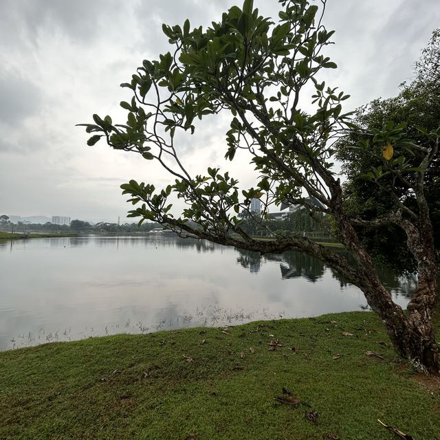 漫步湖景公園