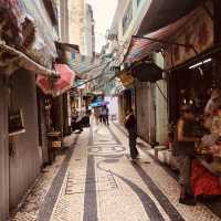 ARRAIAL NA ERVANÁRIOS PRESENTS 3D CAT VIDEOS