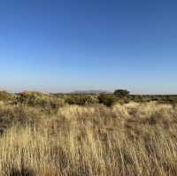 Best Namibian Safari Lodge - Zannier Omaanda