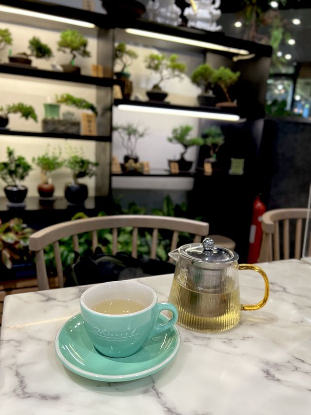  有質素素食餐廳