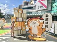 跟白爛貓來個「夏日大冒險」