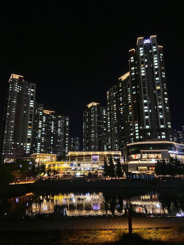 피크닉 맛집, 야경명소 동탄 호수공원 🎆🌃