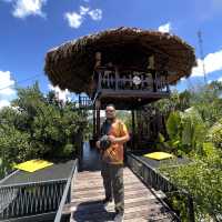 Dining with surrounding of nature.