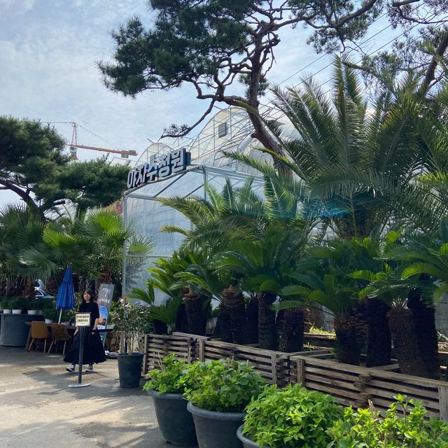서울 근교 제주느낌 가득한 야자수 식물원카페 추천 🌴 