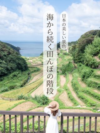 [Genkai Town, Saga Prefecture] Rice field stairs leading from the sea