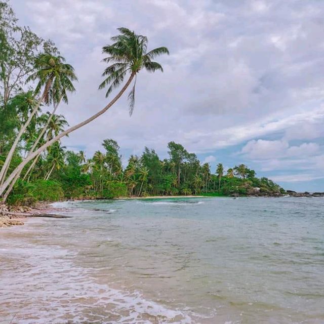 ที่พักเกาะกูด🏝️ ท่ามกลางธรรมชาติ หลบซ่อนจากผู้คน ส่วนตัวสุดๆ