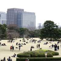 Tokyo Imperial Palace