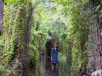 สวนพฤกษศาสตร์ระยอง