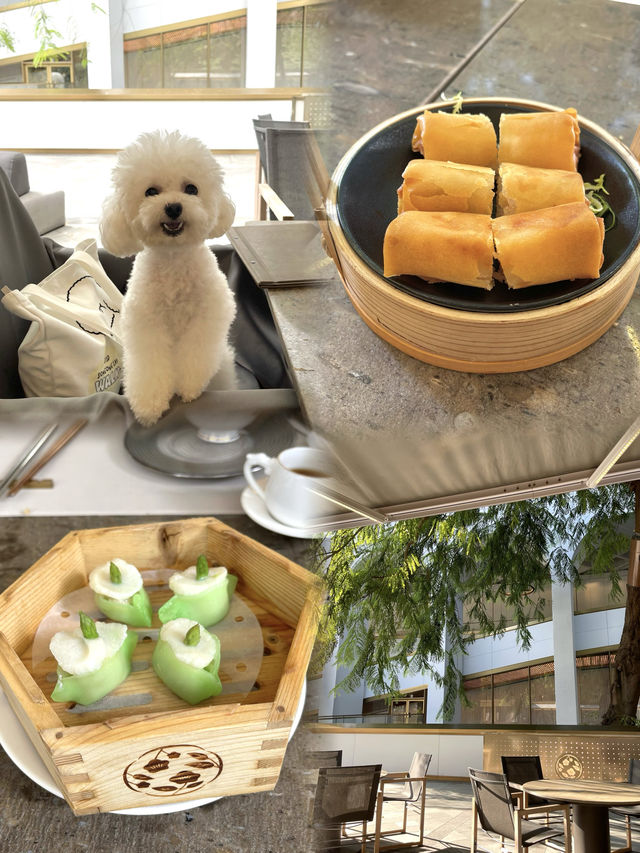 香港最pet friendly的五星級打卡酒店-香港美利酒店