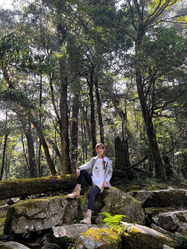 親近山林 感受大雪山的美好