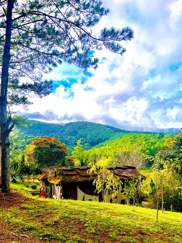 <MUST VISIT> Instagrammable Place In Dalat🇻🇳