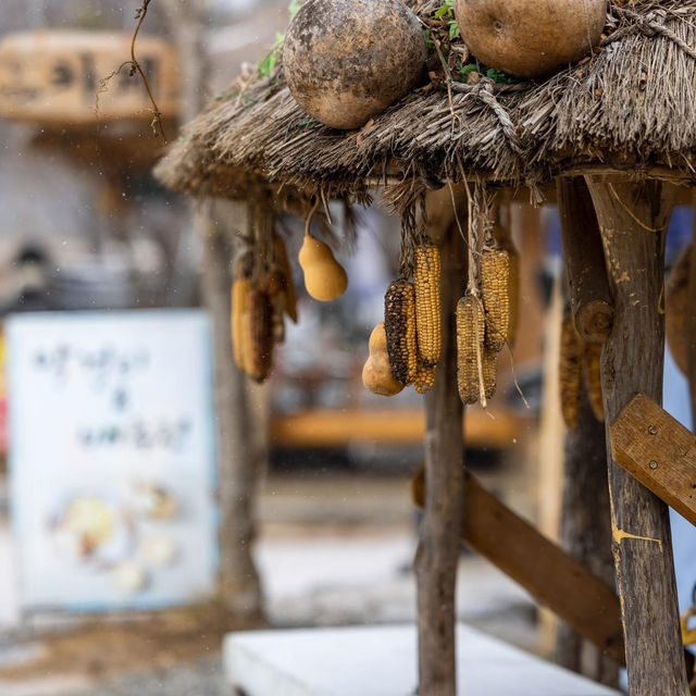 Trip To Museom Village in Winter Season 